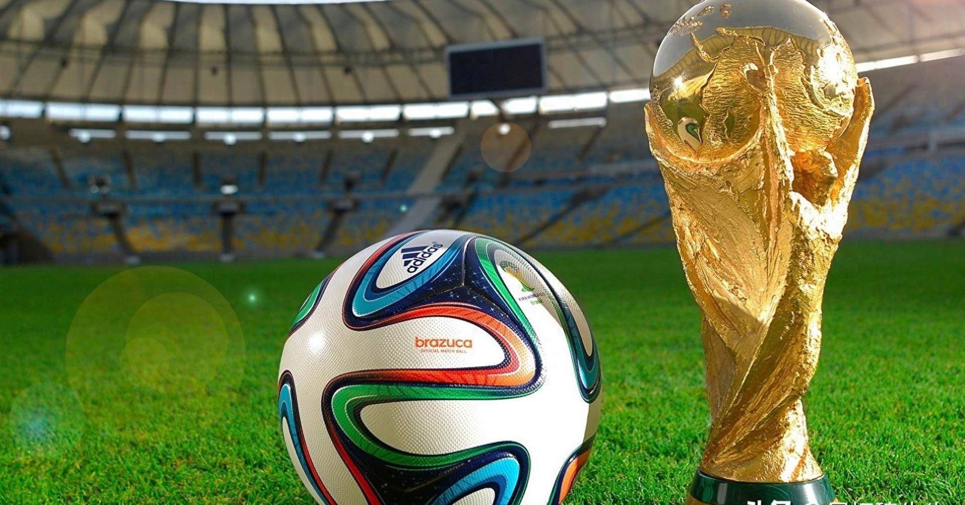 员芒特的提 员芒特的提